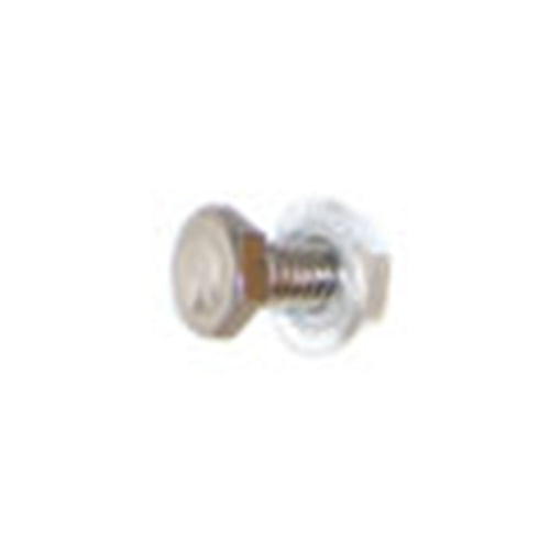 Stainless Steel Bolt (Bolt only)
